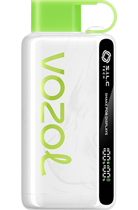 VOZOL 9000 STRAWBERRY KIWI