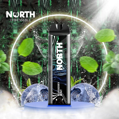 NORTH 5000 VAPE BLUEBERRY MINT