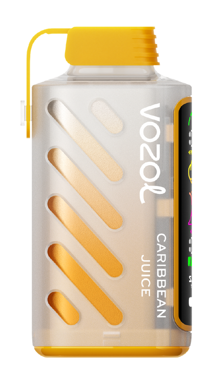 VOZOL GEAR POWER 20K