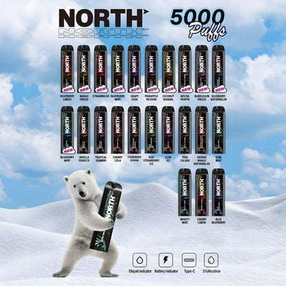 NORTH 5000 - THE CLUB MX