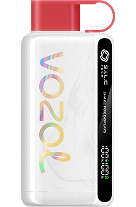 VOZOL 9000 STRAWBERRY WATERMELON