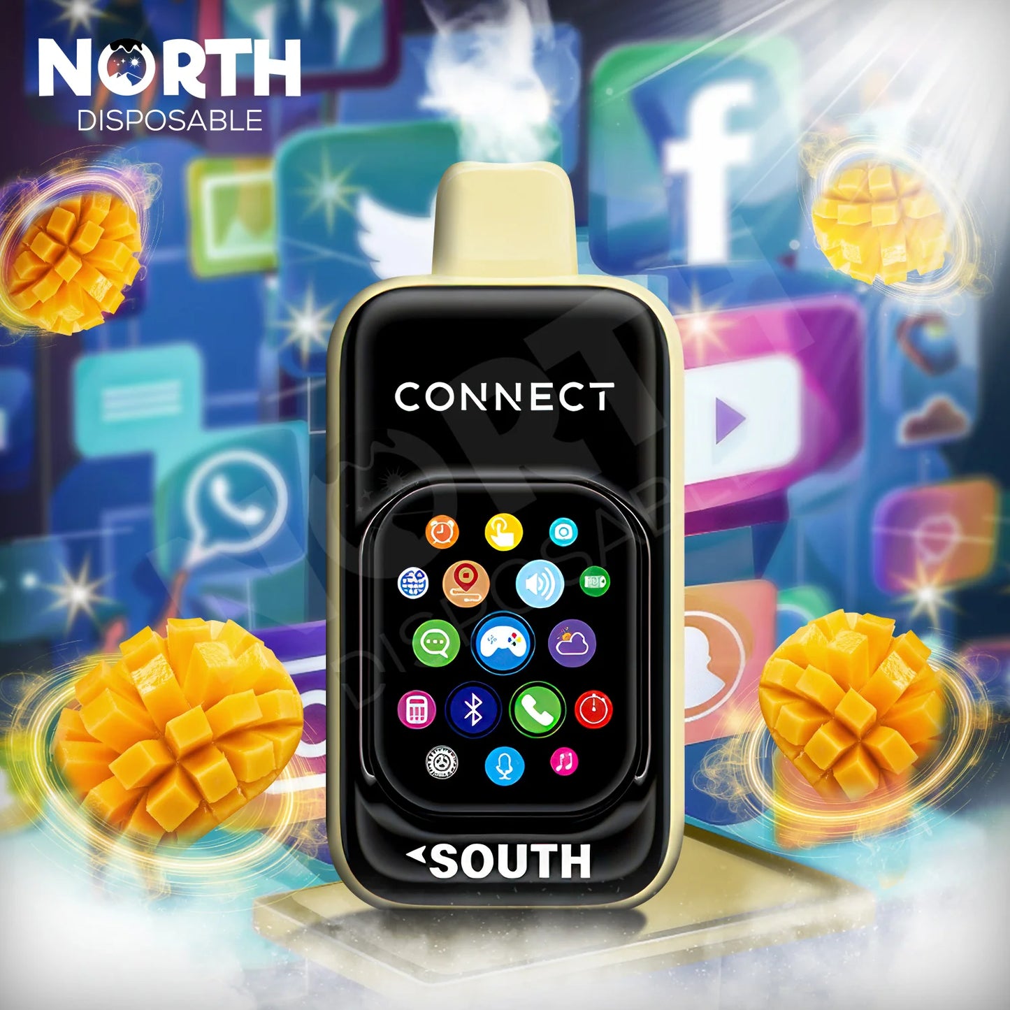 SOUTH CONNECT